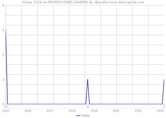Visitas 2024 de PROMOCIONES LIZARPEA SL. (España) 