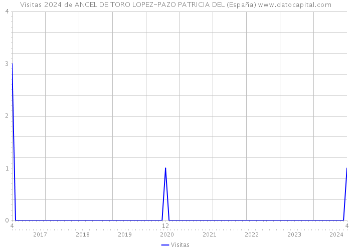 Visitas 2024 de ANGEL DE TORO LOPEZ-PAZO PATRICIA DEL (España) 