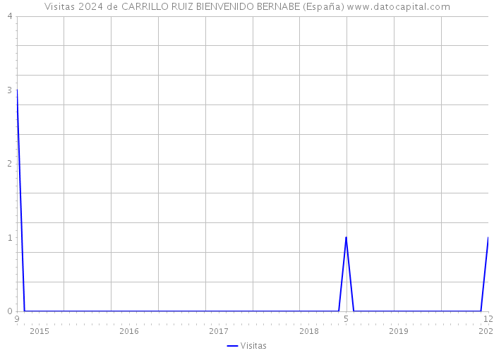 Visitas 2024 de CARRILLO RUIZ BIENVENIDO BERNABE (España) 