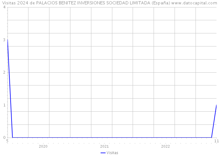 Visitas 2024 de PALACIOS BENITEZ INVERSIONES SOCIEDAD LIMITADA (España) 