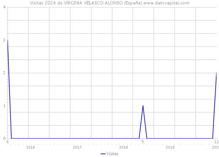 Visitas 2024 de VIRGINIA VELASCO ALONSO (España) 