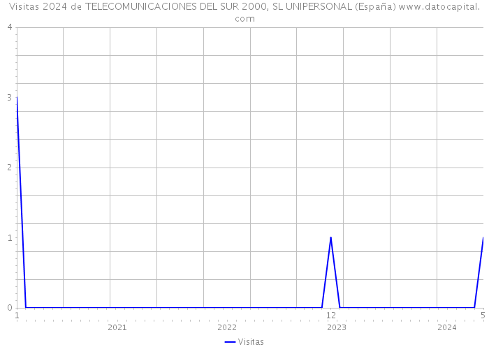 Visitas 2024 de TELECOMUNICACIONES DEL SUR 2000, SL UNIPERSONAL (España) 
