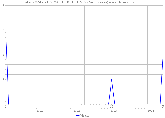 Visitas 2024 de PINEWOOD HOLDINGS INS.SA (España) 