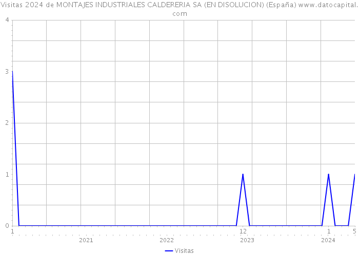 Visitas 2024 de MONTAJES INDUSTRIALES CALDERERIA SA (EN DISOLUCION) (España) 