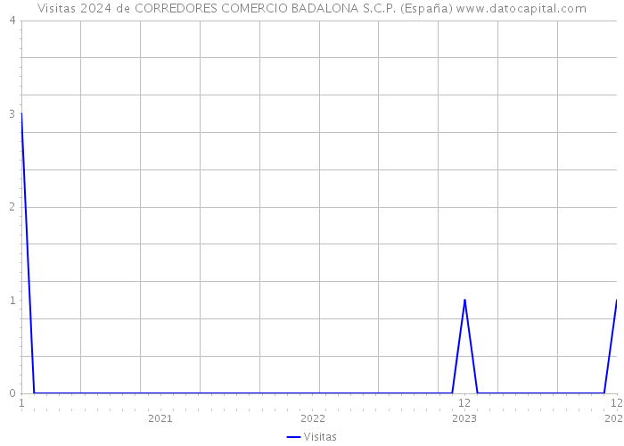 Visitas 2024 de CORREDORES COMERCIO BADALONA S.C.P. (España) 