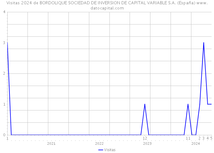 Visitas 2024 de BORDOLIQUE SOCIEDAD DE INVERSION DE CAPITAL VARIABLE S.A. (España) 