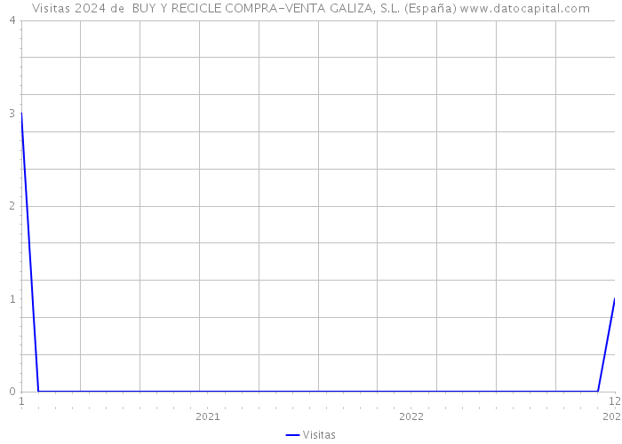 Visitas 2024 de  BUY Y RECICLE COMPRA-VENTA GALIZA, S.L. (España) 