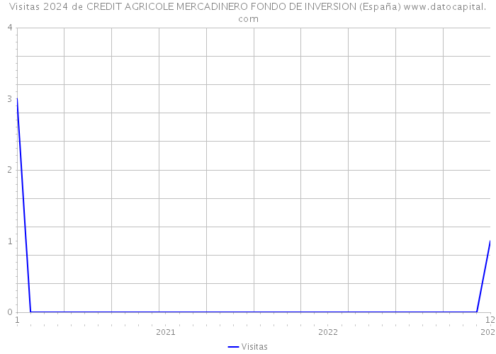 Visitas 2024 de CREDIT AGRICOLE MERCADINERO FONDO DE INVERSION (España) 