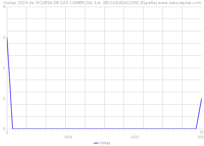 Visitas 2024 de VIGUESA DE GAS COMERCIAL S.A. (EN LIQUIDACION) (España) 