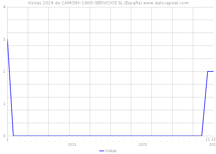 Visitas 2024 de CAMOIN-1900-SERVICIOS SL (España) 