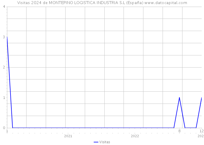 Visitas 2024 de MONTEPINO LOGISTICA INDUSTRIA S.L (España) 