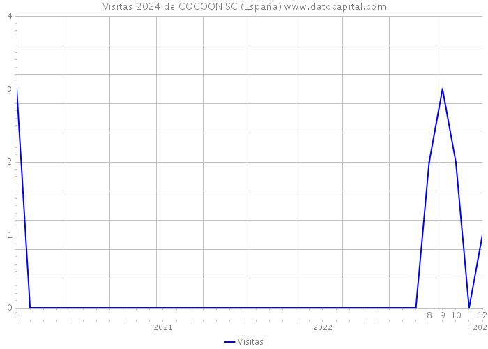 Visitas 2024 de COCOON SC (España) 