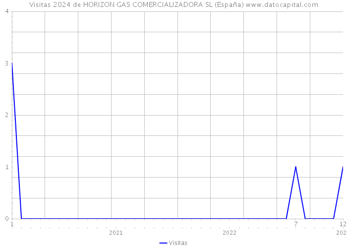 Visitas 2024 de HORIZON GAS COMERCIALIZADORA SL (España) 