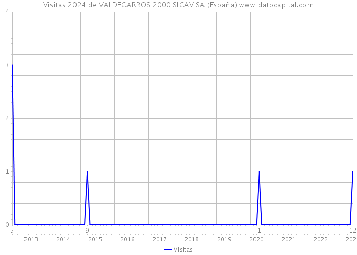 Visitas 2024 de VALDECARROS 2000 SICAV SA (España) 