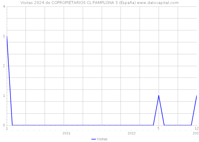 Visitas 2024 de COPROPIETARIOS CL PAMPLONA 3 (España) 