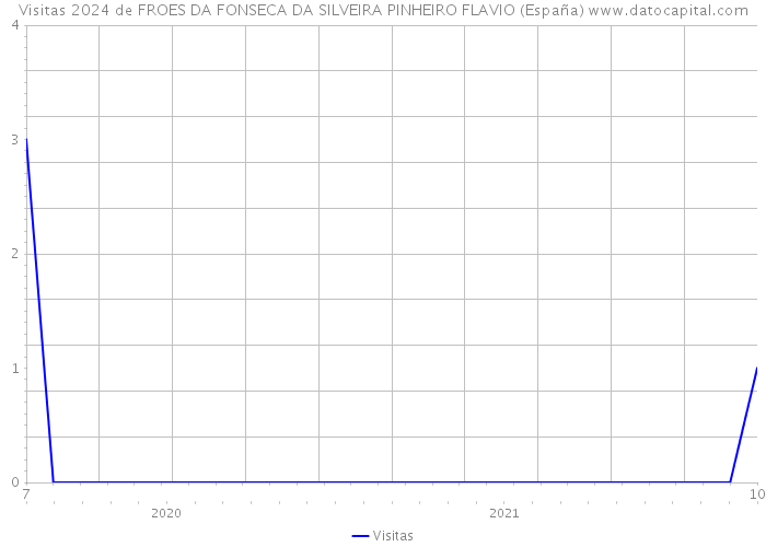 Visitas 2024 de FROES DA FONSECA DA SILVEIRA PINHEIRO FLAVIO (España) 