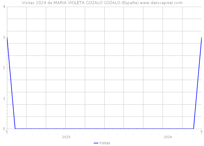 Visitas 2024 de MARIA VIOLETA GOZALO GOZALO (España) 