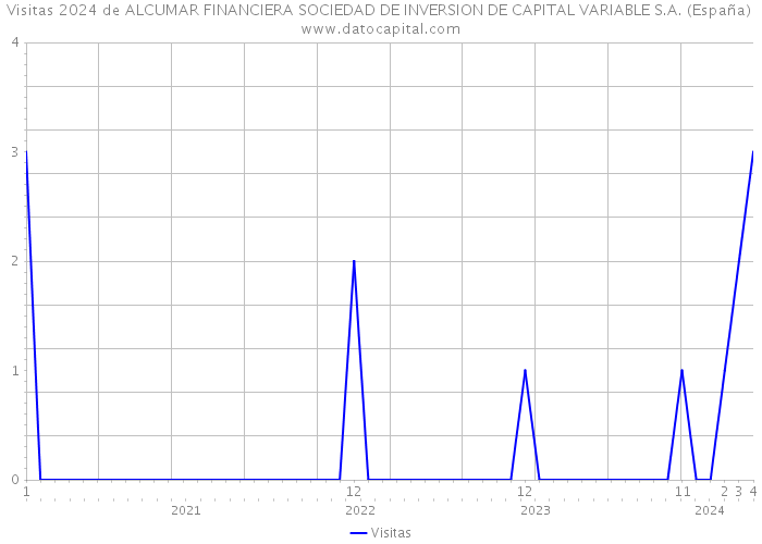 Visitas 2024 de ALCUMAR FINANCIERA SOCIEDAD DE INVERSION DE CAPITAL VARIABLE S.A. (España) 