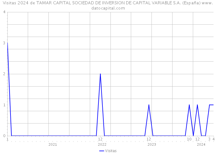 Visitas 2024 de TAMAR CAPITAL SOCIEDAD DE INVERSION DE CAPITAL VARIABLE S.A. (España) 