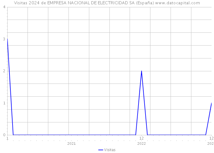 Visitas 2024 de EMPRESA NACIONAL DE ELECTRICIDAD SA (España) 