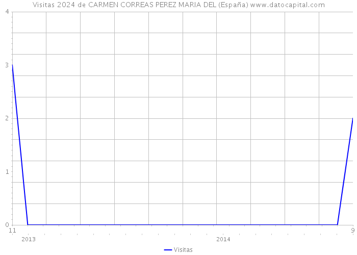 Visitas 2024 de CARMEN CORREAS PEREZ MARIA DEL (España) 