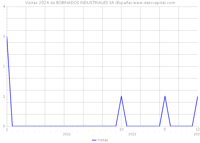 Visitas 2024 de BOBINADOS INDUSTRIALES SA (España) 