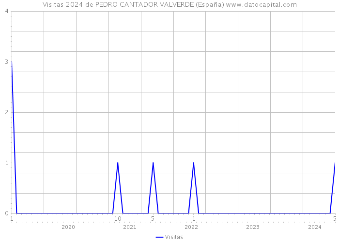 Visitas 2024 de PEDRO CANTADOR VALVERDE (España) 