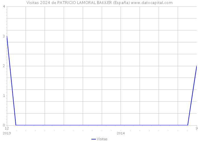 Visitas 2024 de PATRICIO LAMORAL BAKKER (España) 