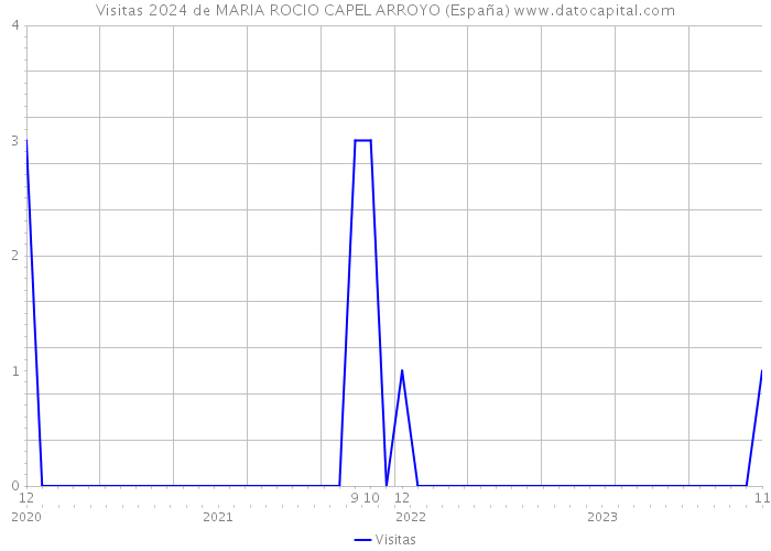 Visitas 2024 de MARIA ROCIO CAPEL ARROYO (España) 
