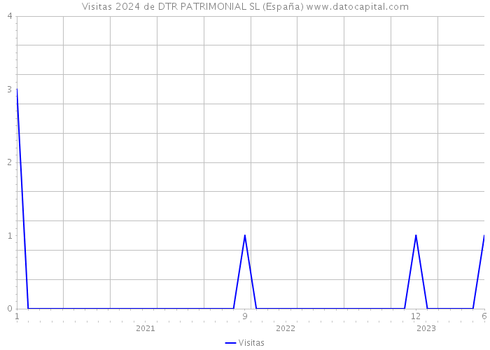 Visitas 2024 de DTR PATRIMONIAL SL (España) 