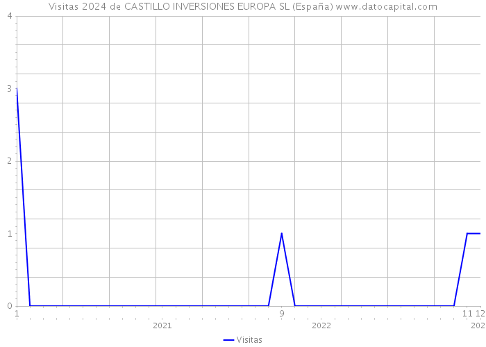 Visitas 2024 de CASTILLO INVERSIONES EUROPA SL (España) 