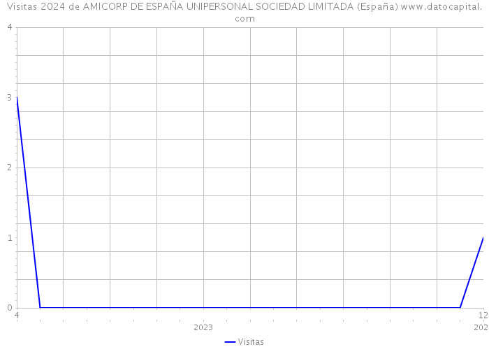 Visitas 2024 de AMICORP DE ESPAÑA UNIPERSONAL SOCIEDAD LIMITADA (España) 