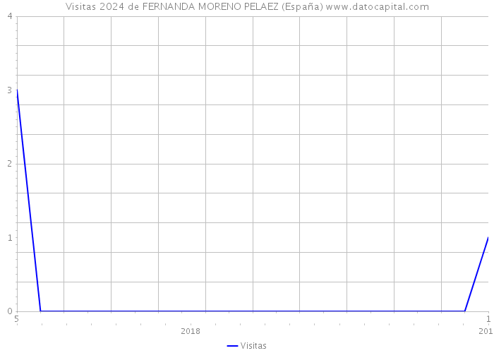 Visitas 2024 de FERNANDA MORENO PELAEZ (España) 
