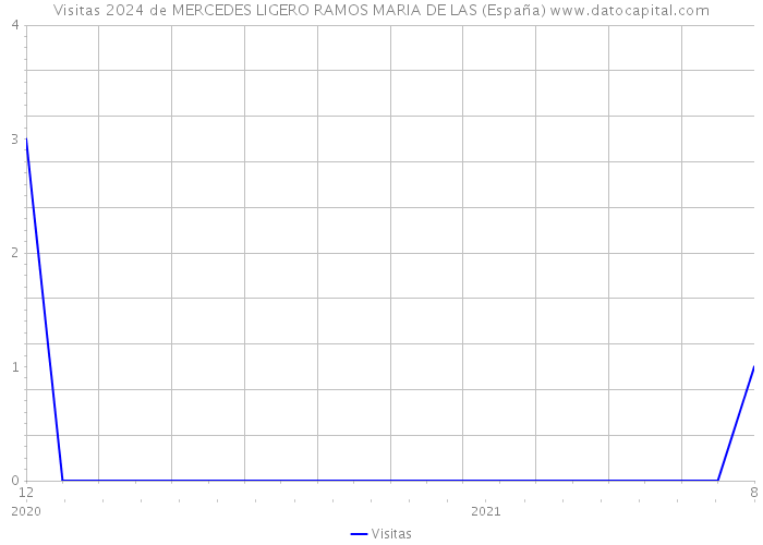 Visitas 2024 de MERCEDES LIGERO RAMOS MARIA DE LAS (España) 