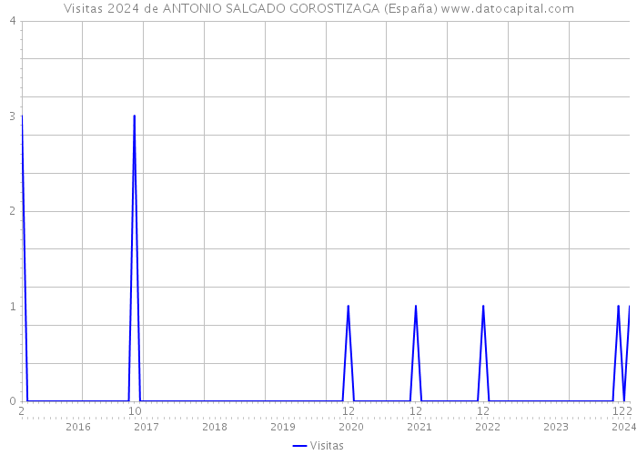 Visitas 2024 de ANTONIO SALGADO GOROSTIZAGA (España) 