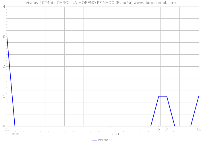 Visitas 2024 de CAROLINA MORENO PEINADO (España) 