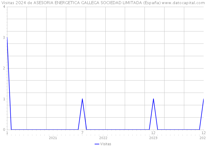 Visitas 2024 de ASESORIA ENERGETICA GALLEGA SOCIEDAD LIMITADA (España) 