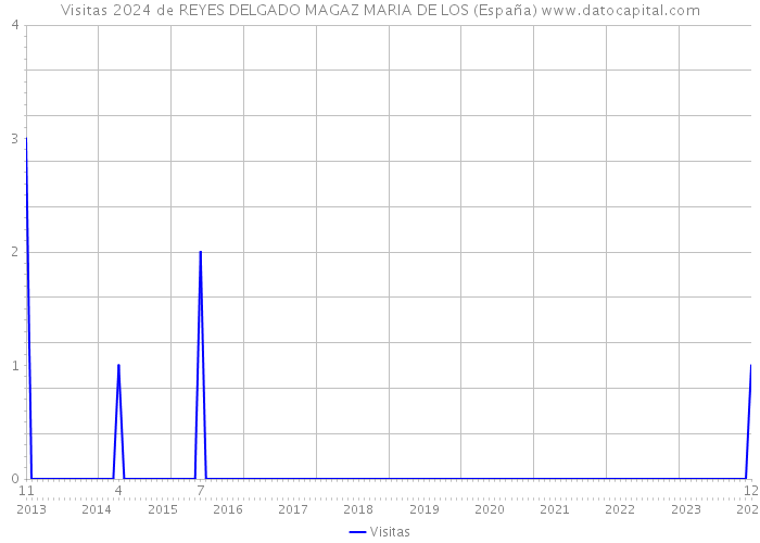 Visitas 2024 de REYES DELGADO MAGAZ MARIA DE LOS (España) 