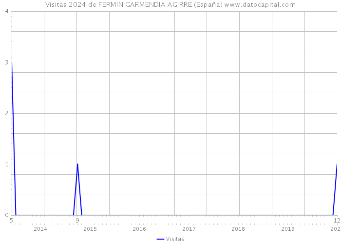 Visitas 2024 de FERMIN GARMENDIA AGIRRE (España) 