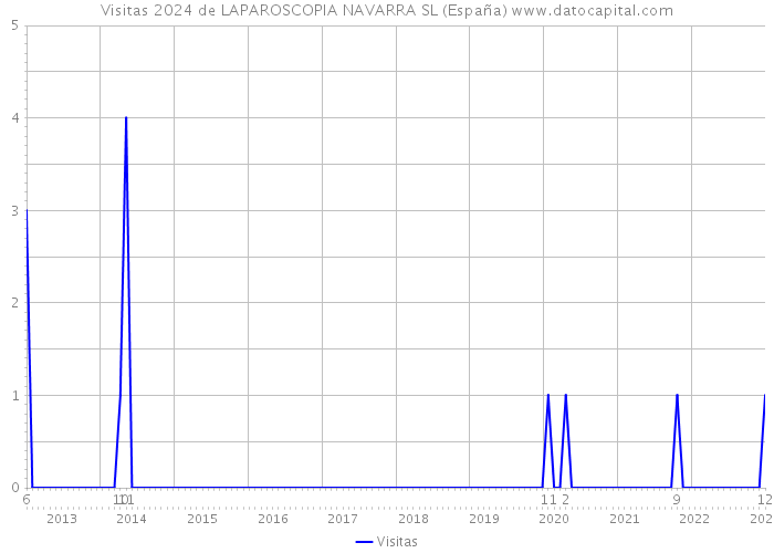 Visitas 2024 de LAPAROSCOPIA NAVARRA SL (España) 