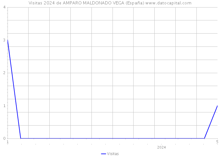 Visitas 2024 de AMPARO MALDONADO VEGA (España) 