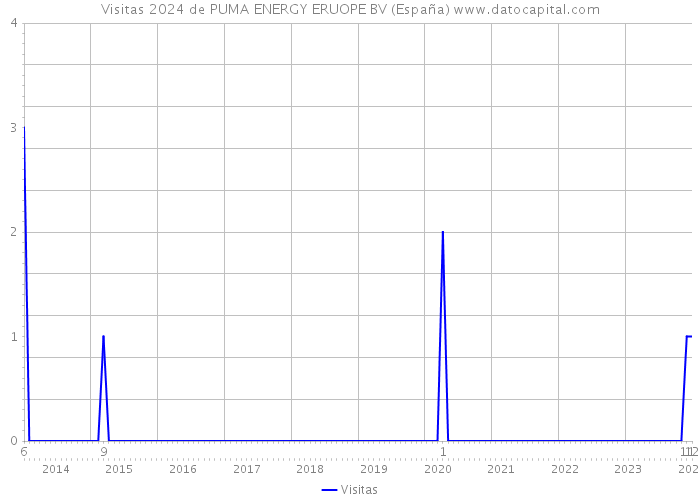 Visitas 2024 de PUMA ENERGY ERUOPE BV (España) 