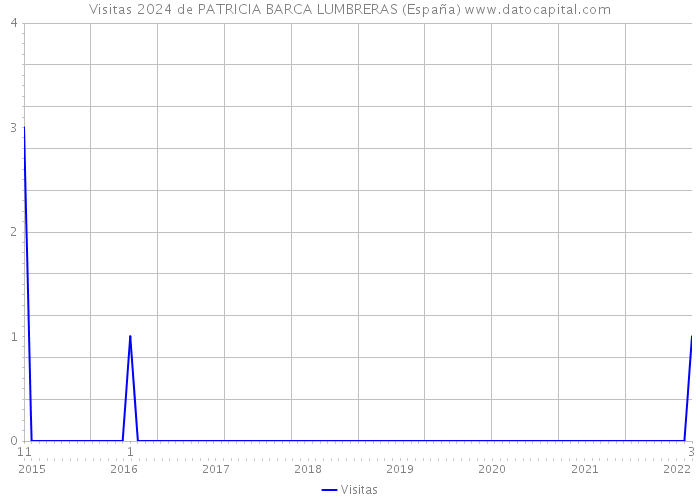 Visitas 2024 de PATRICIA BARCA LUMBRERAS (España) 