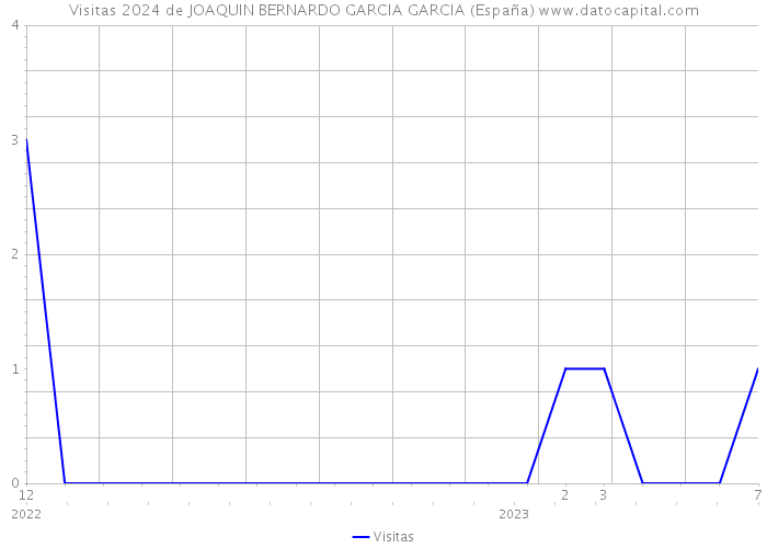 Visitas 2024 de JOAQUIN BERNARDO GARCIA GARCIA (España) 