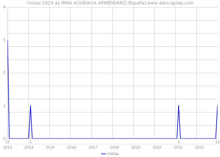Visitas 2024 de IRMA AGUINAGA ARMENDARIZ (España) 