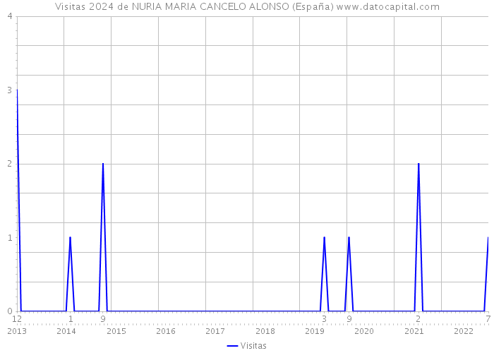 Visitas 2024 de NURIA MARIA CANCELO ALONSO (España) 