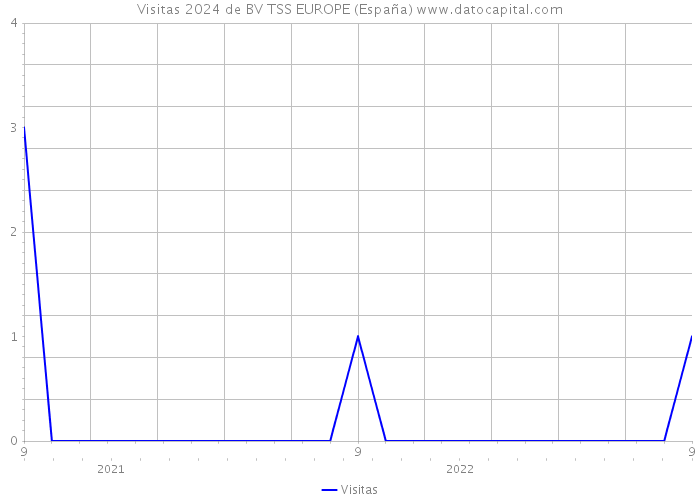 Visitas 2024 de BV TSS EUROPE (España) 