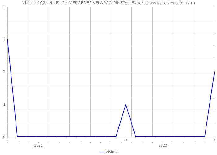 Visitas 2024 de ELISA MERCEDES VELASCO PINEDA (España) 