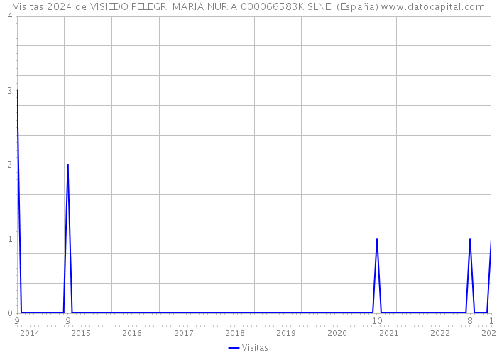 Visitas 2024 de VISIEDO PELEGRI MARIA NURIA 000066583K SLNE. (España) 