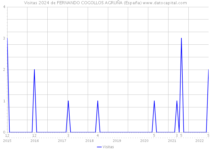 Visitas 2024 de FERNANDO COGOLLOS AGRUÑA (España) 